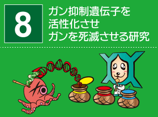 研究番号８：ガン抑制遺伝子を活性化させガン死滅の研究