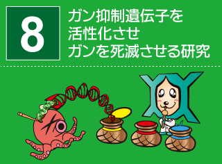 no8