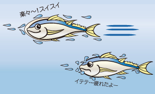 スイスイ