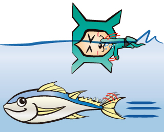 swim