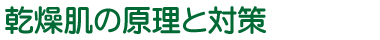 乾燥肌の原理と対策