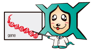 gene