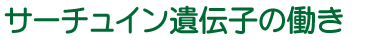 hataraki