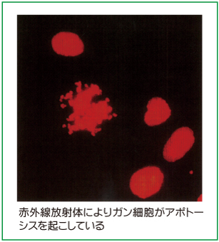 赤外線