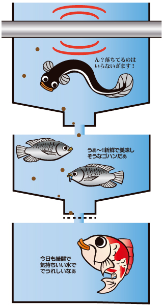 water